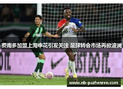 费南多加盟上海申花引发关注 足球转会市场再掀波澜