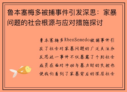 鲁本塞梅多被捕事件引发深思：家暴问题的社会根源与应对措施探讨